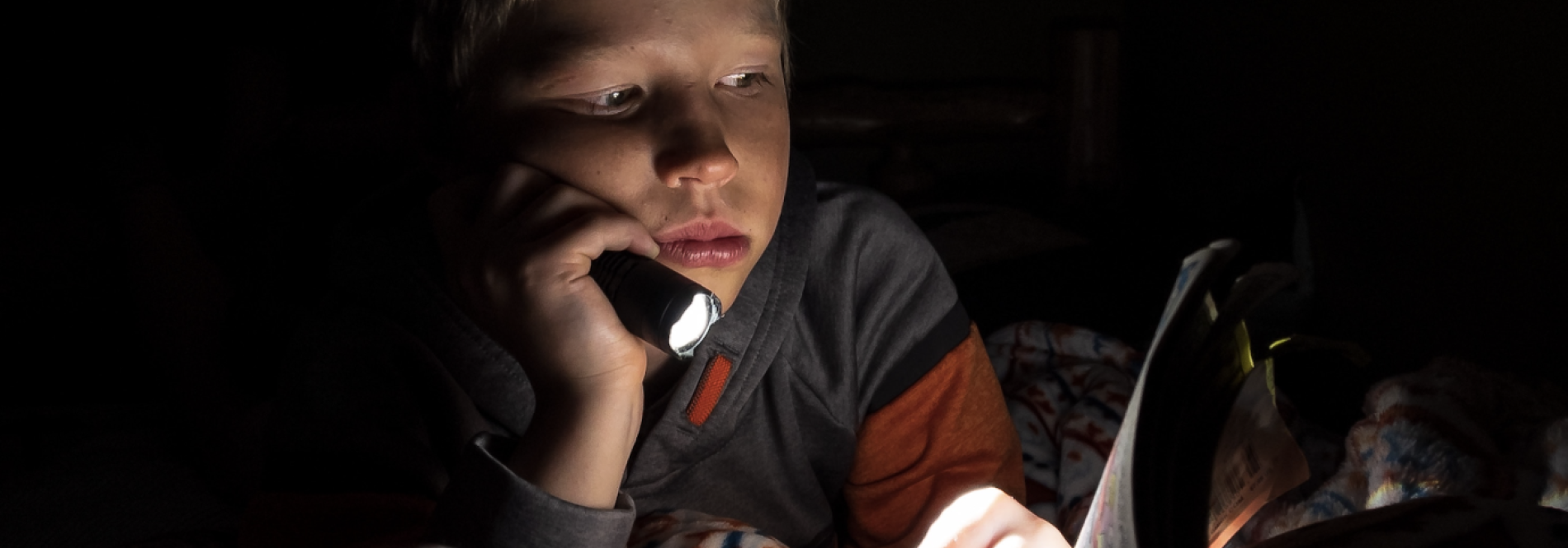 First of May outage updates La Plata Electric Association